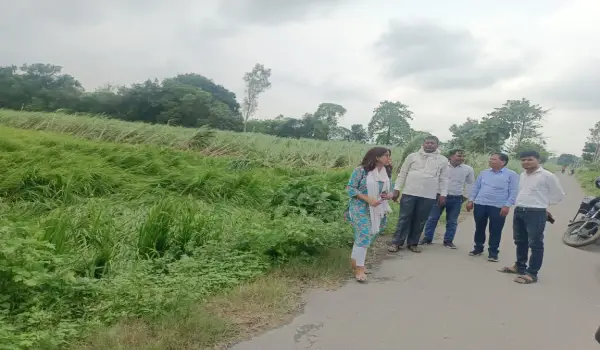 अंबेडकरनगर में बारिश-तेज हवाओं से फसलों को नुकसान, प्रशासन ने शुरू किया सर्वे